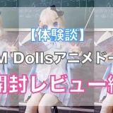 アニメ系ラブドールのお迎え開封レビュー【WM Dolls, S-TPE,Y008ヘッド】