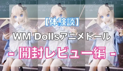 アニメ系ラブドールのお迎え開封レビュー【WM Dolls, S-TPE,Y008ヘッド】